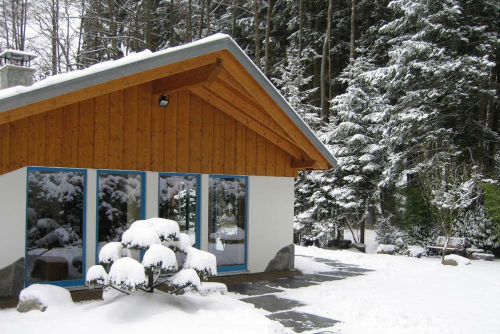 Bio-Ferienhaus-Eifel Rott  Экстерьер фото